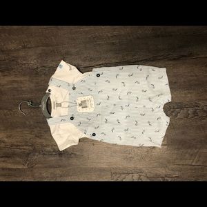 Never worn baby outfit size 3-6 months